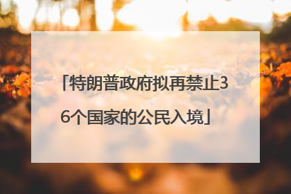 特朗普政府拟再禁止36个国家的公民入境
